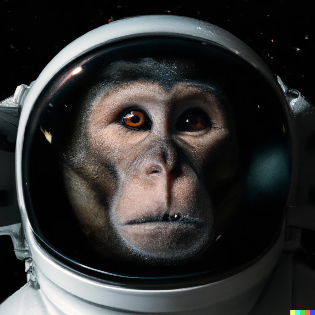 High quality photo of a monkey astronaut